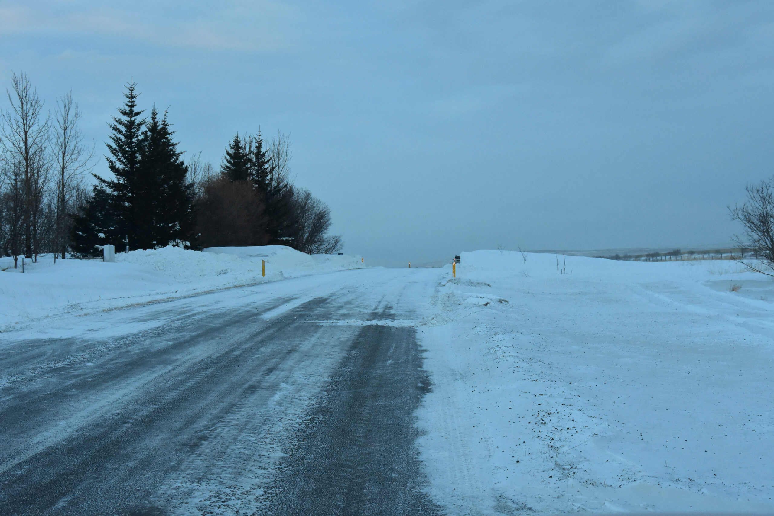 Biskupstungur Heiði tré byggingar skaflar